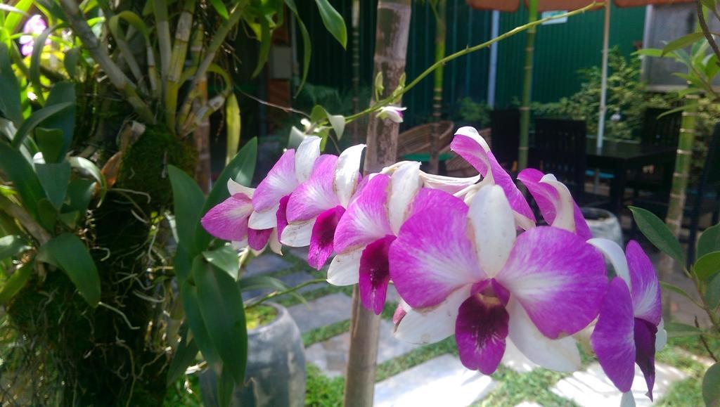 Siem Reap Green Home Guesthouse Екстер'єр фото